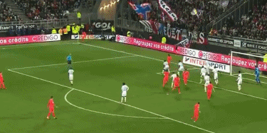 两千斤野公牛秀肌肉，附近雄狮想饱餐一顿，3头雄狮都不是对手